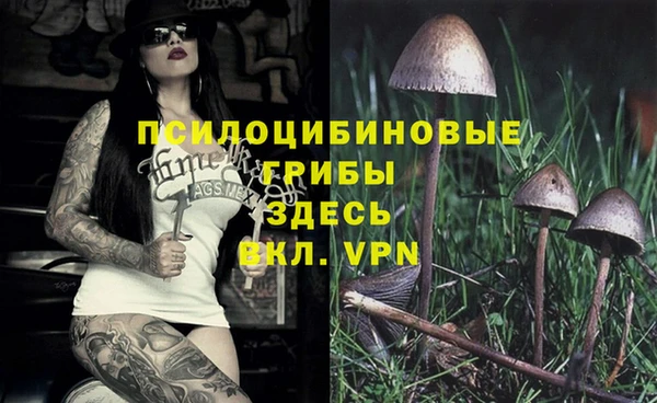 скорость Абинск