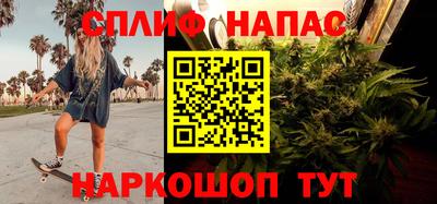 спиды Гагарин