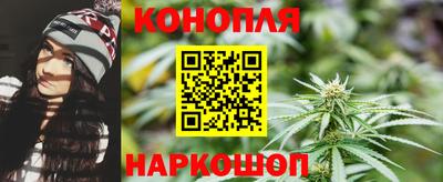 сатива Гай